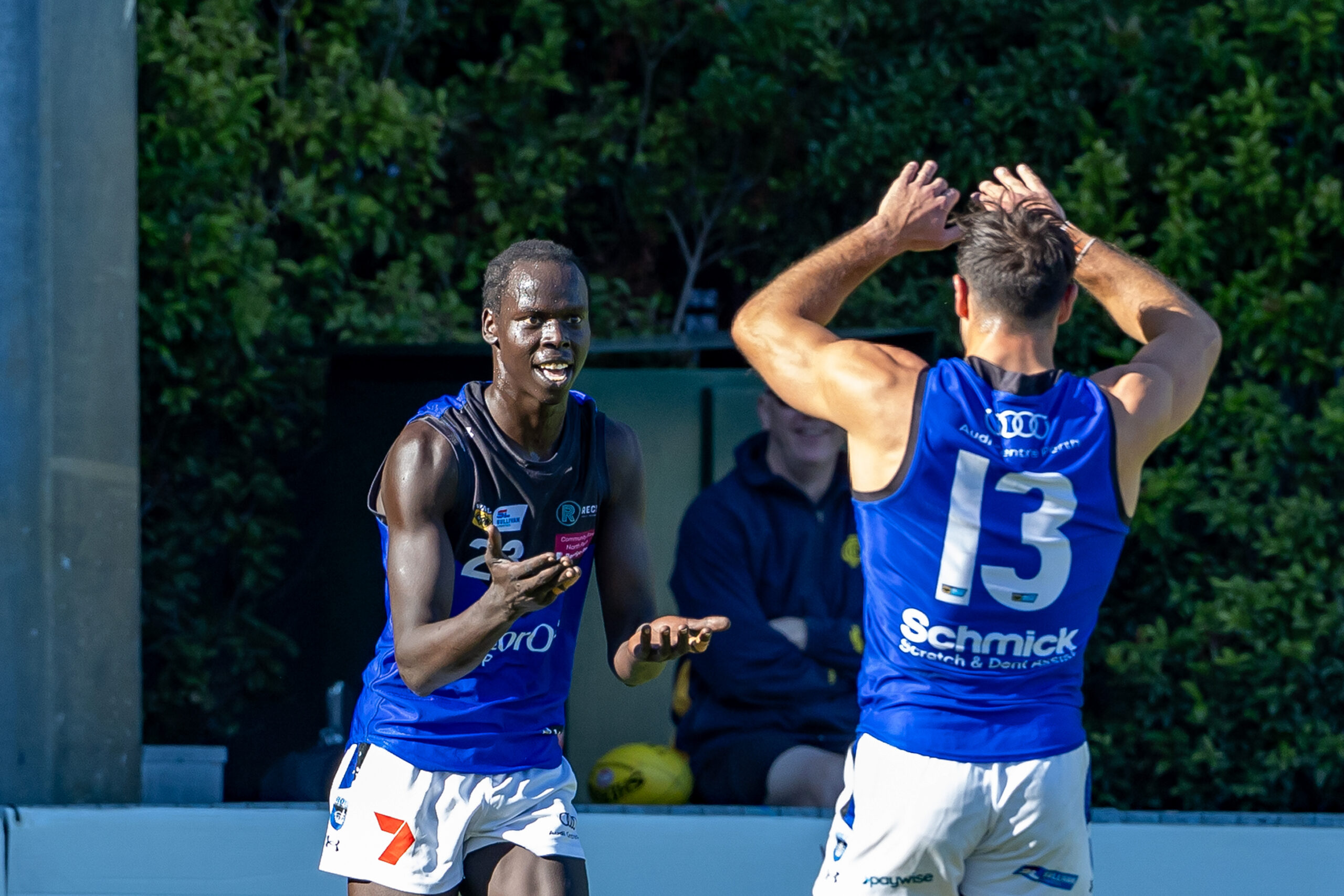 WAFL Preview