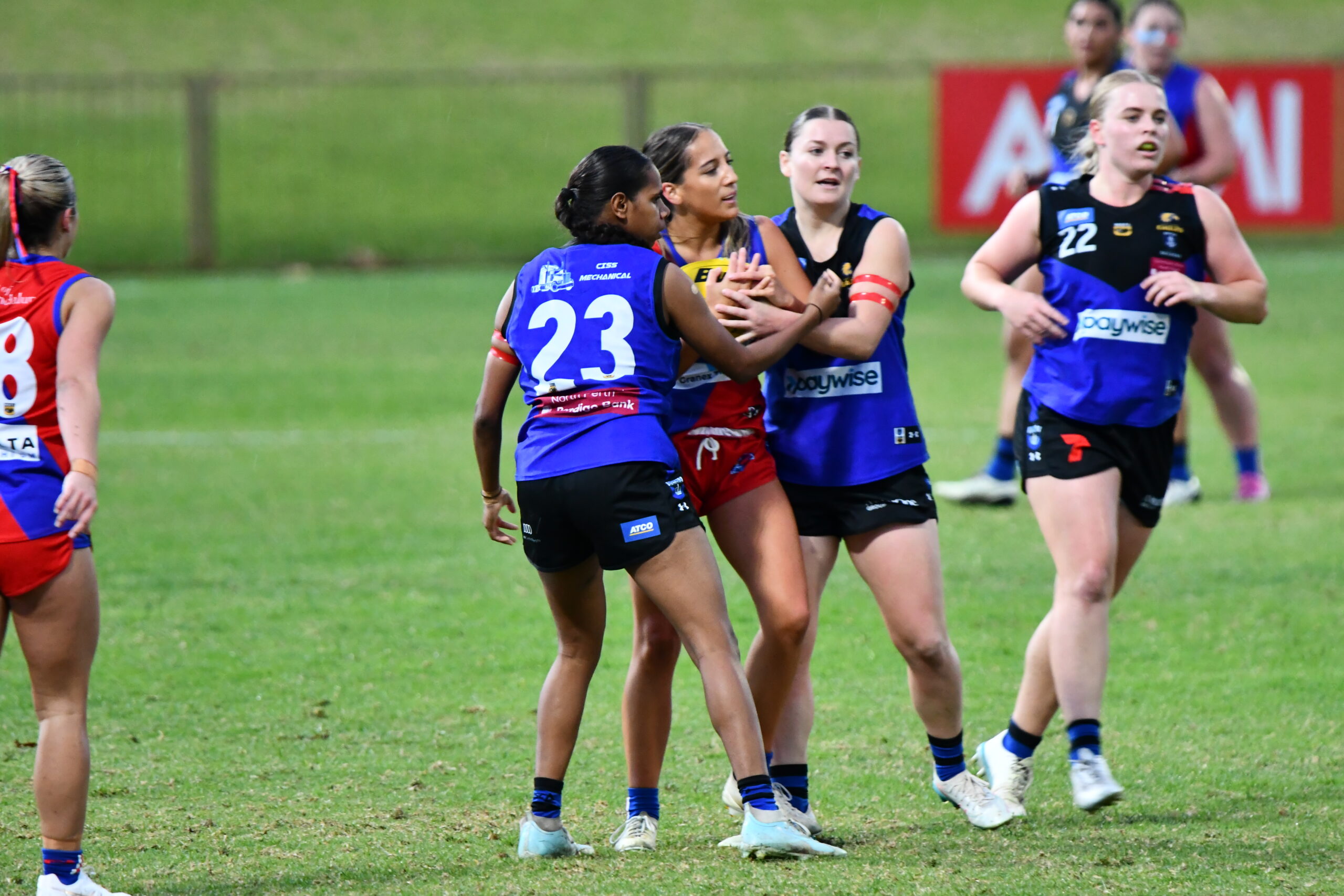WAFLW Preview